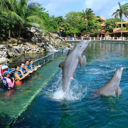Increible Estudio En Puerto Aventuras, Condominio Con Alberca # 201 エクステリア 写真